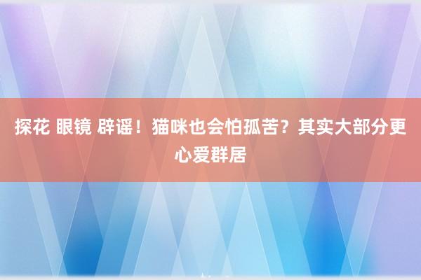 探花 眼镜 辟谣！猫咪也会怕孤苦？其实大部分更心爱群居