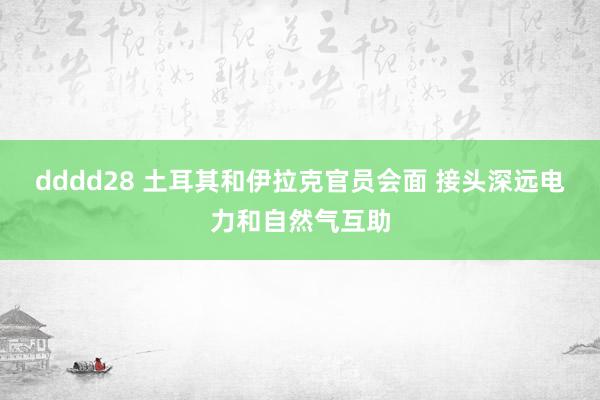 dddd28 土耳其和伊拉克官员会面 接头深远电力和自然气互