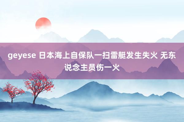 geyese 日本海上自保队一扫雷艇发生失火 无东说念主员伤