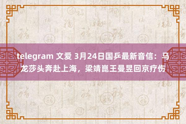 telegram 文爱 3月24日国乒最新音信：马龙莎头奔赴上海，梁靖崑王曼昱回京疗伤