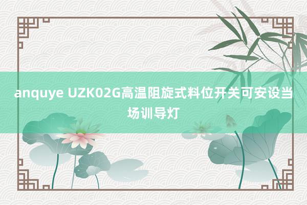 anquye UZK02G高温阻旋式料位开关可安设当场训导灯