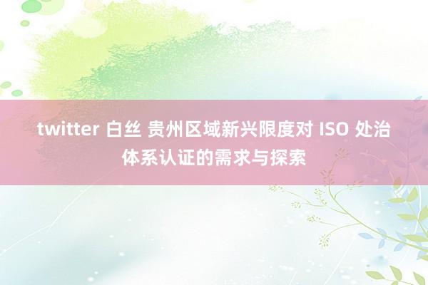 twitter 白丝 贵州区域新兴限度对 ISO 处治体系认证的需求与探索