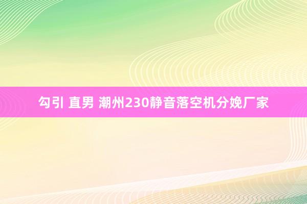 勾引 直男 潮州230静音落空机分娩厂家