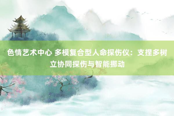 色情艺术中心 多模复合型人命探伤仪：支捏多树立协同探伤与智能