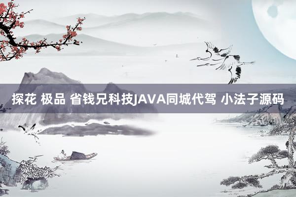 探花 极品 省钱兄科技JAVA同城代驾 小法子源码
