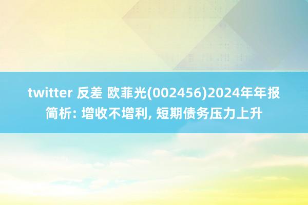 twitter 反差 欧菲光(002456)2024年年报简