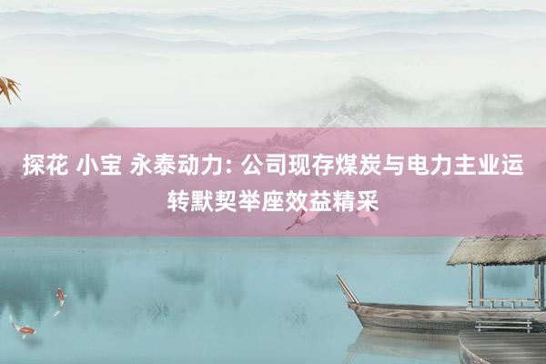 探花 小宝 永泰动力: 公司现存煤炭与电力主业运转默契举座效益精采