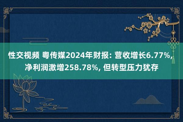 性交视频 粤传媒2024年财报: 营收增长6.77%, 净利