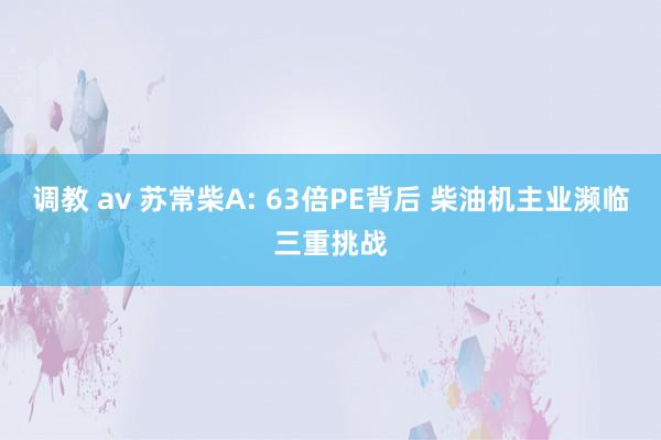 调教 av 苏常柴A: 63倍PE背后 柴油机主业濒临三重挑