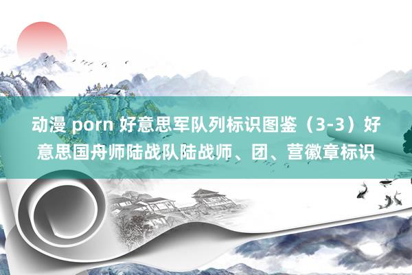 动漫 porn 好意思军队列标识图鉴（3-3）好意思国舟师陆