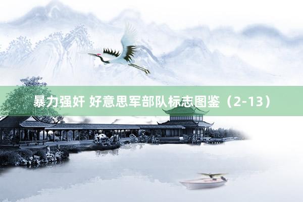 暴力强奸 好意思军部队标志图鉴（2-13）