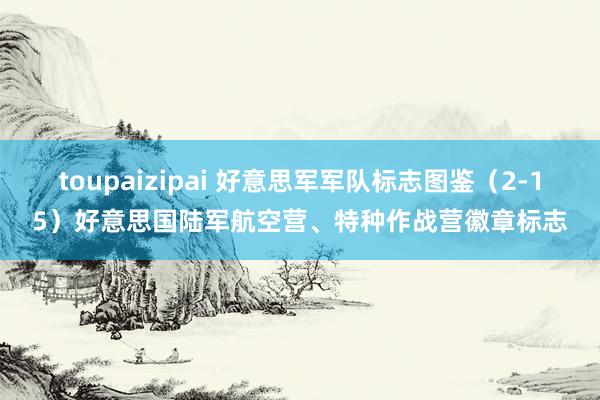 toupaizipai 好意思军军队标志图鉴（2-15）好意