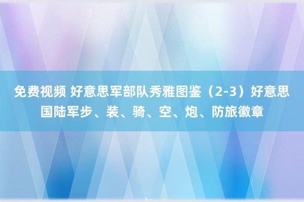 免费视频 好意思军部队秀雅图鉴（2-3）好意思国陆军步、装、骑、空、炮、防旅徽章