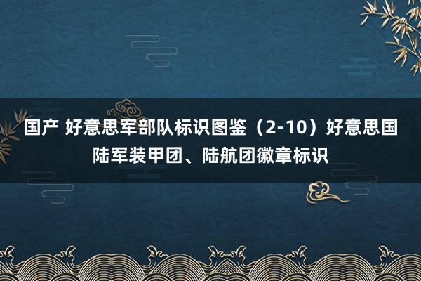 国产 好意思军部队标识图鉴（2-10）好意思国陆军装甲团、陆