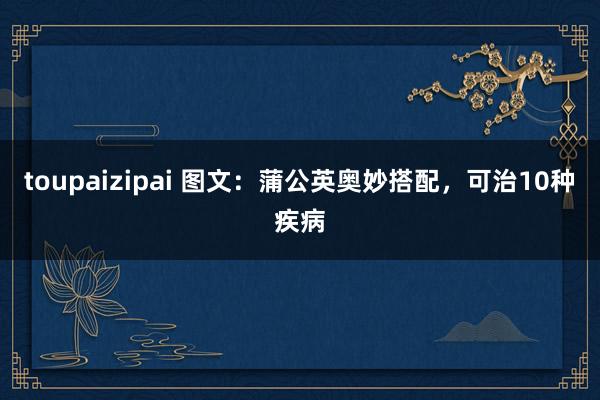 toupaizipai 图文：蒲公英奥妙搭配，可治10种疾病