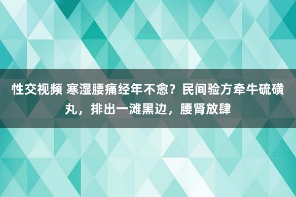 性交视频 寒湿腰痛经年不愈？民间验方牵牛硫磺丸，排出一滩黑边