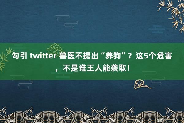 勾引 twitter 兽医不提出“养狗”？这5个危害，不是谁王人能袭取！