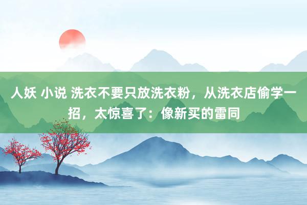 人妖 小说 洗衣不要只放洗衣粉，从洗衣店偷学一招，太惊喜了：像新买的雷同