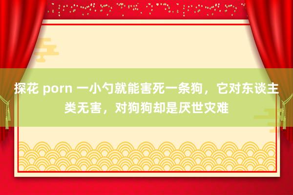 探花 porn 一小勺就能害死一条狗，它对东谈主类无害，对狗