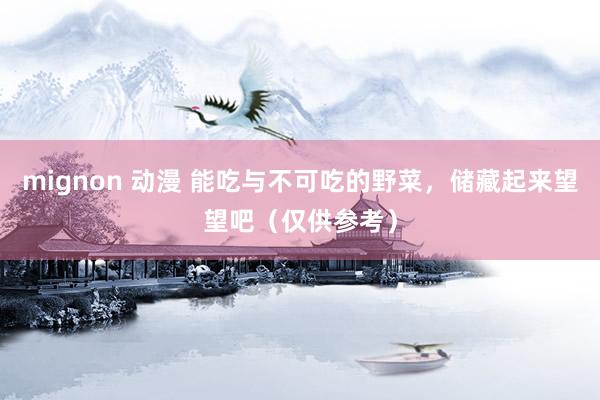 mignon 动漫 能吃与不可吃的野菜，储藏起来望望吧（仅供