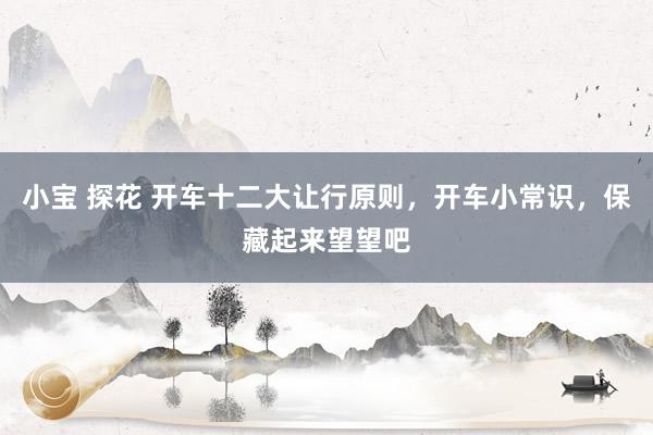 小宝 探花 开车十二大让行原则，开车小常识，保藏起来望望吧